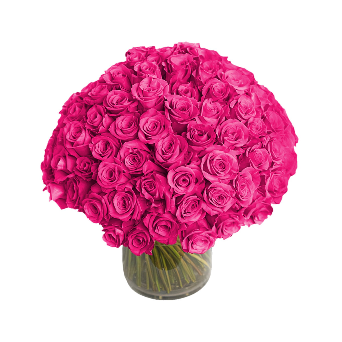 Queens Flower Delivery - Fresh Roses in a Crystal Vase | Hot Pink - 100 Roses
